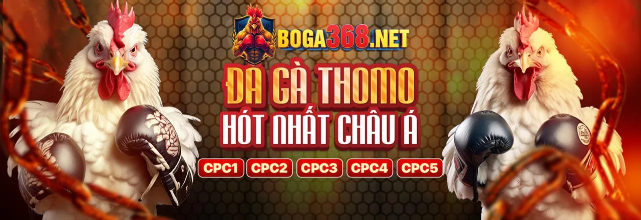 Sự kiện đặc biệt và giải đấu