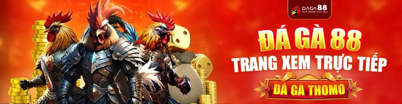 Sân vận động thể thao sôi động, cá cược 66ff game