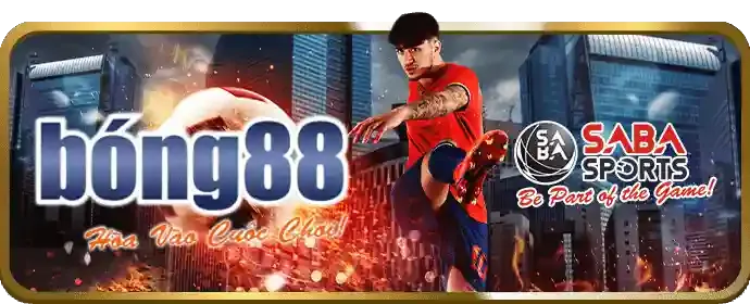 Hoàn trả hàng ngày cá cược thể thao 66ff game